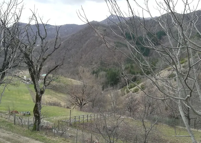 Antico Frutto Premilcuore