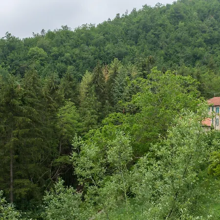 Antico Frutto * Premilcuore